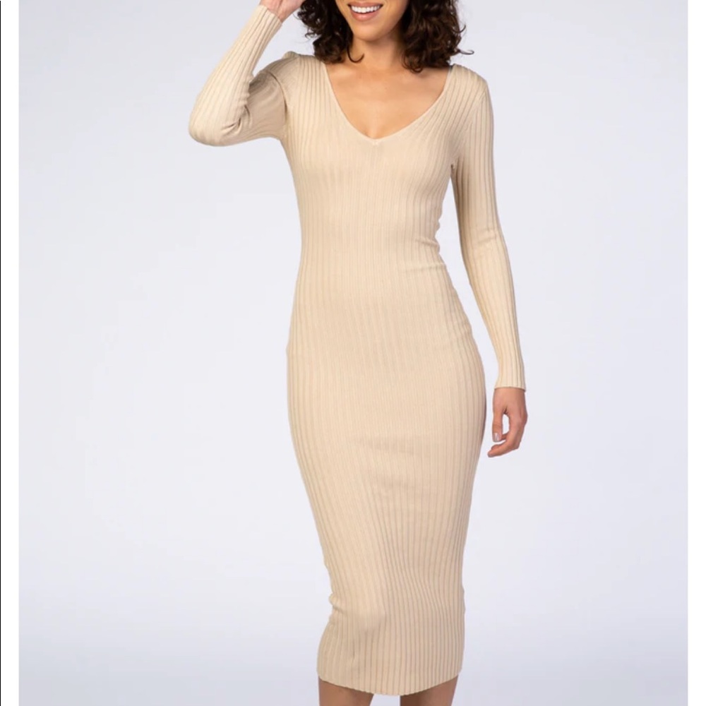 NWTS Taupe V-Neck Long Sleeve Dress